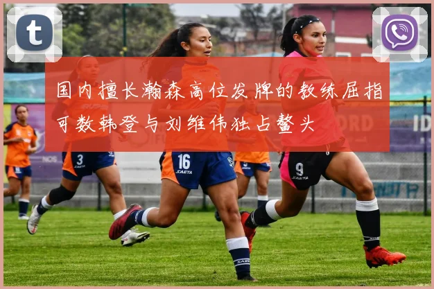 国内擅长瀚森高位发牌的教练屈指可数韩登与刘维伟独占鳌头